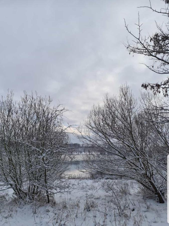 "Altes Stellwerk Frose" Am Froser See Екстериор снимка